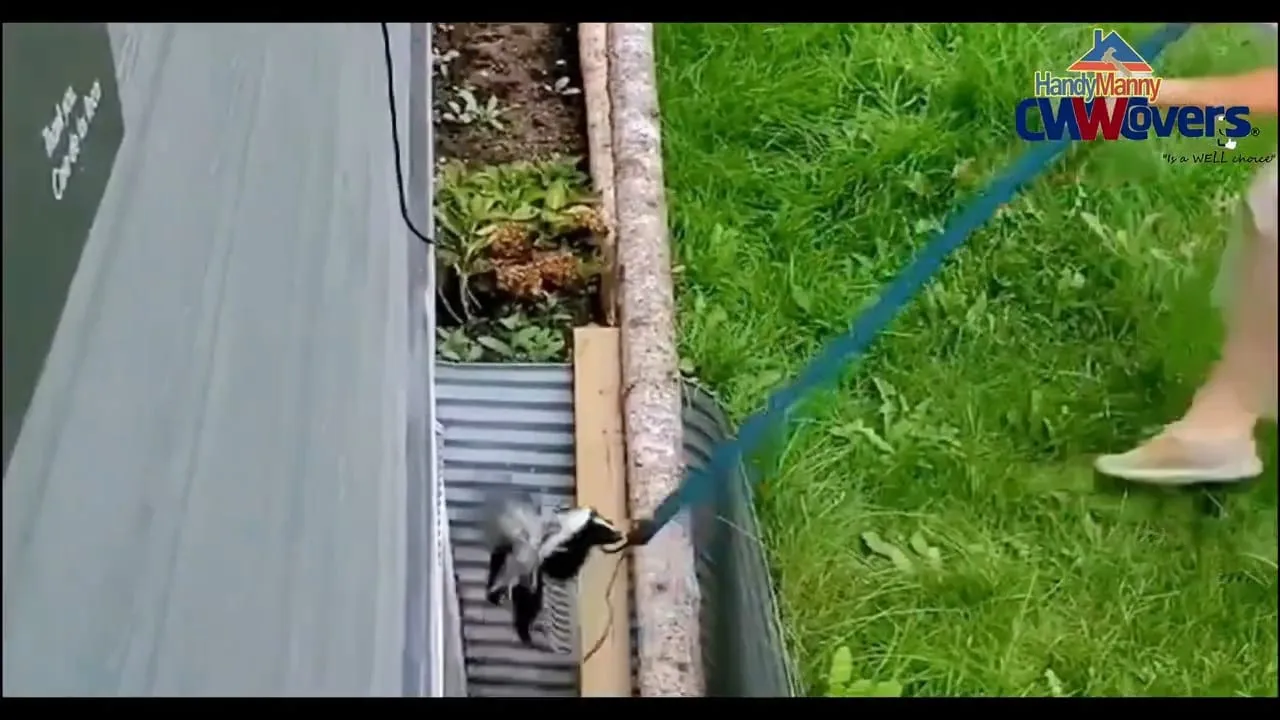 Keep Unwanted Pests Out of Your Window Wells  